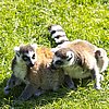 IMG_3222.JPG