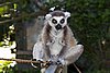 IMG_3231.JPG