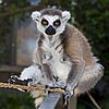 IMG_3233.JPG