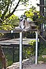 IMG_3236.JPG