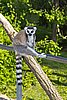 IMG_3243.JPG