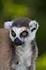 IMG_3245.JPG