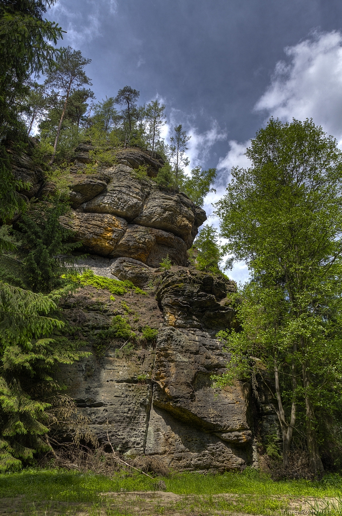 IMG_5449_50_51_tonemapped.jpg