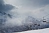 IMG_3520.jpg
