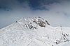 IMG_3521.jpg