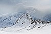 IMG_3544.jpg