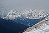 IMG_3553.jpg