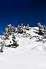 IMG_3712.jpg