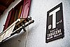 IMG_3880.jpg