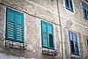IMG_3886.jpg