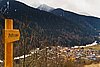 IMG_3938.jpg