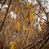 IMG_4047.jpg