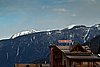 IMG_4073.jpg