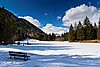 IMG_4115.jpg