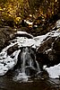 IMG_4156.jpg