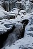 IMG_4172.jpg